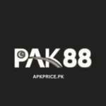 PAK 88 Game