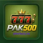 pak500 game