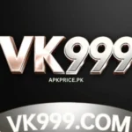 vk 999 game