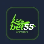 bet 55 game