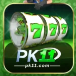 PK11 Game